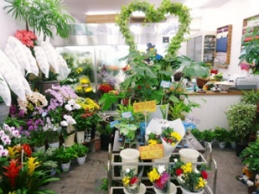 「ラッキーフラワー」　（埼玉県春日部市）の花屋店舗写真2